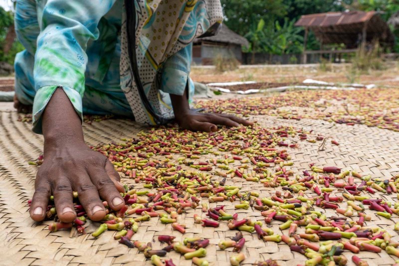 Spice Farm Zanzibar