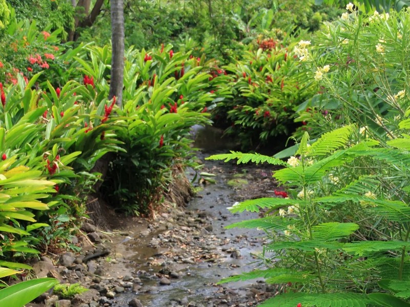 Grenada Flower Festival