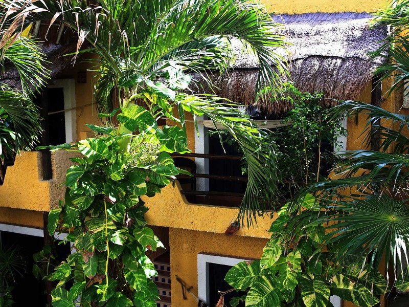 Colibri Beach - Hotelanlage