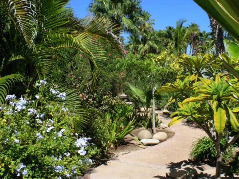 Posada La Poza - Garten