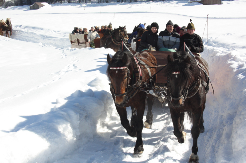 Gosau Sleigh Ride