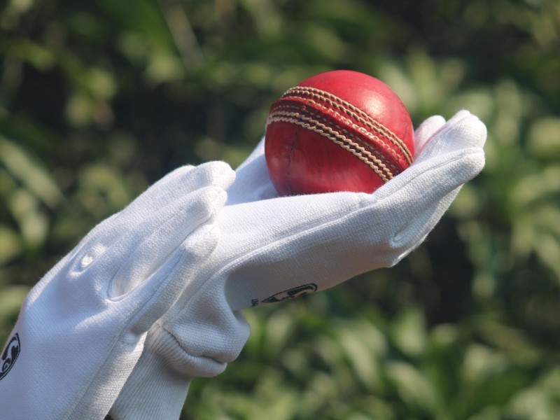 Cricket ball