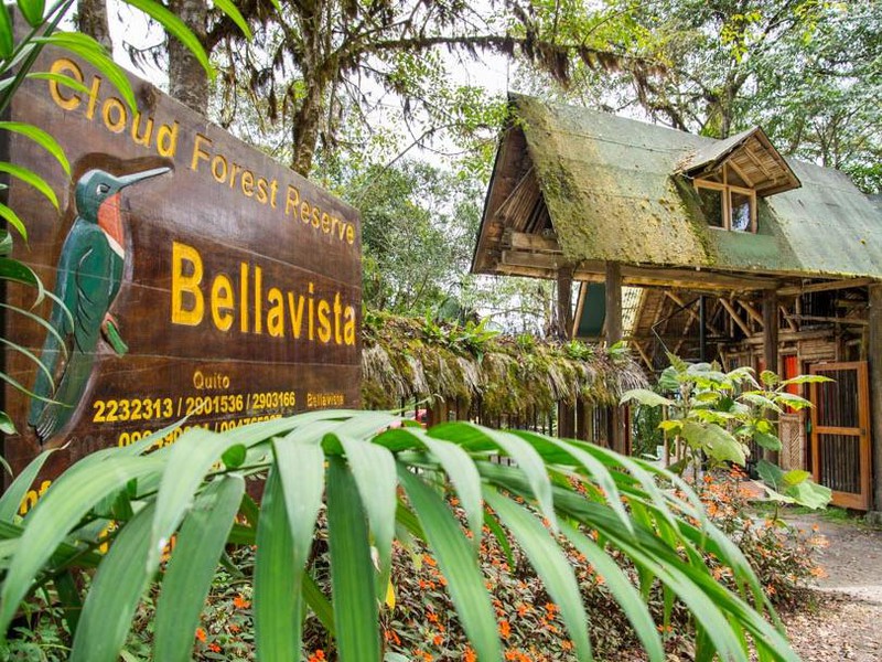 Bellavista Cloud Forest Reserve & Lodge