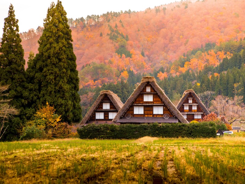 Japan - Shirakawago - gassho-zukuri