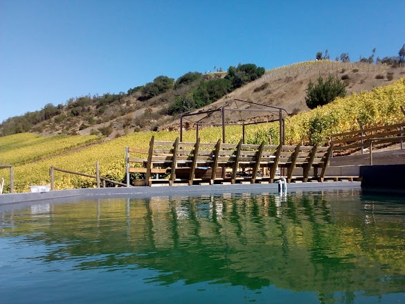 La Recova - Weinberg