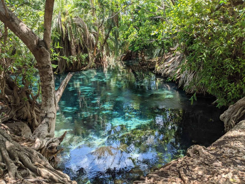Kikuletwa Hot Springs near Arusha
