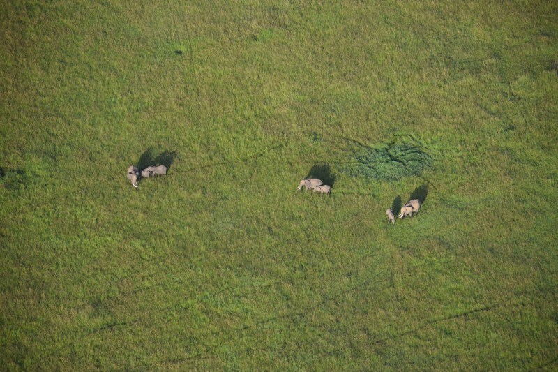 Hot Air Balloon Safari in Tarangire 