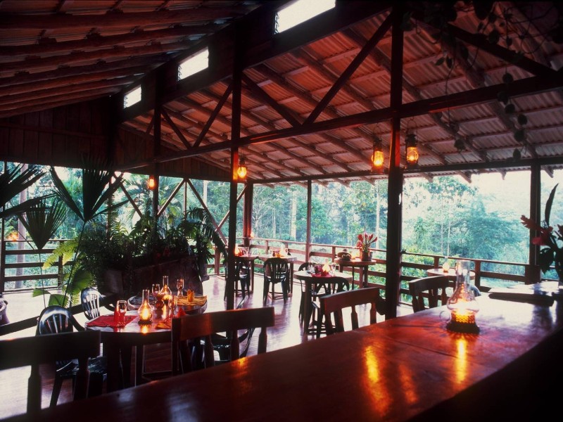 Selva Bananito Lodge - Restaurant