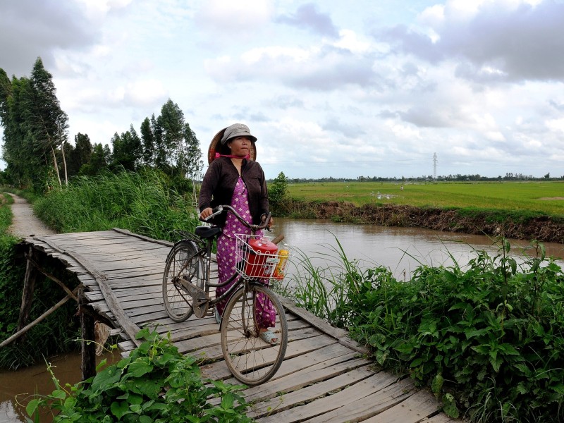 Mekong - Vietnamese Lady