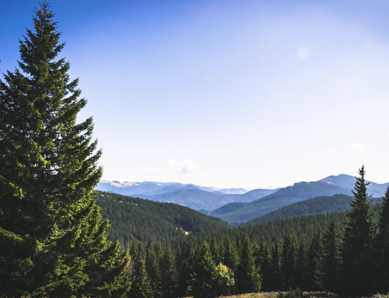 Carpathian Mountains
