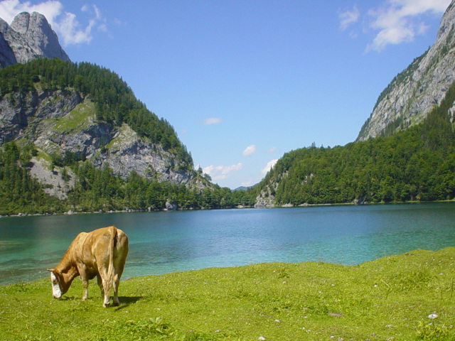Gosausee