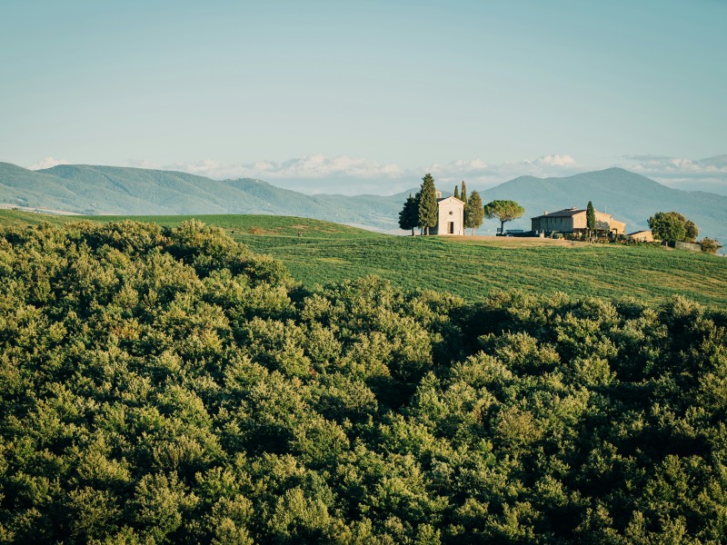 9-day Cycling on Via Francigena from Sie