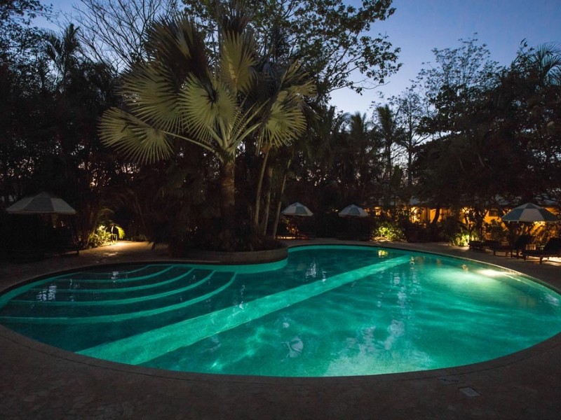 The Harmony Hotel - Pool