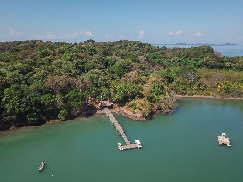 Isla Palenque - Steg