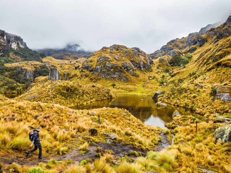 Ecuador - El Cajas NP