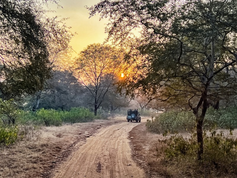 Ranthambore Tiger Preserve-Indien