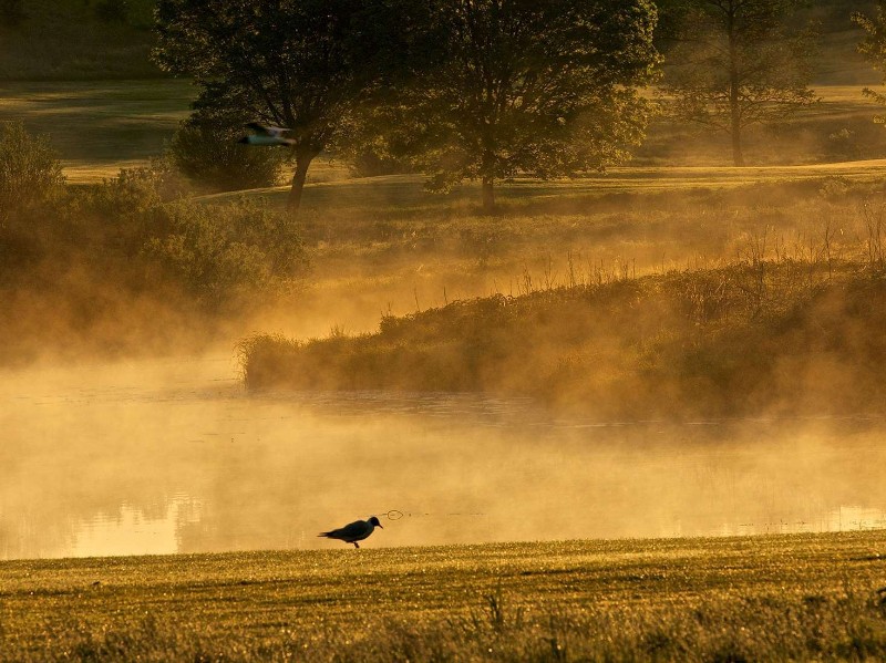 Bokskogen GC © Golf Club