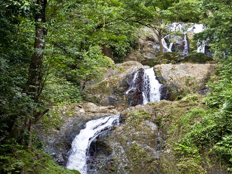 Discover Argyle falls