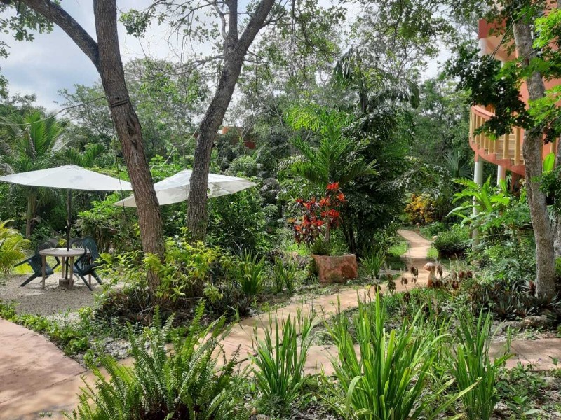 Nueva Altía - Hotelansicht