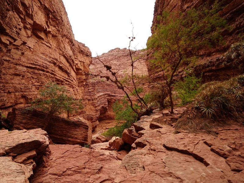 Cafayate - Quebrada de las Flechas