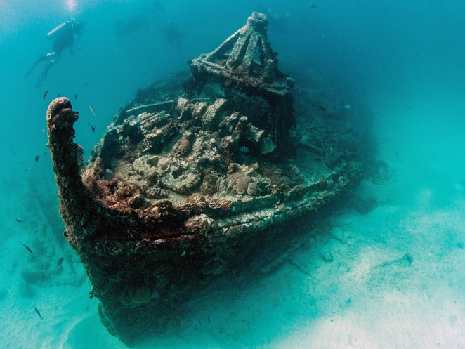Turtle & Shipwreck Snorkel Tour