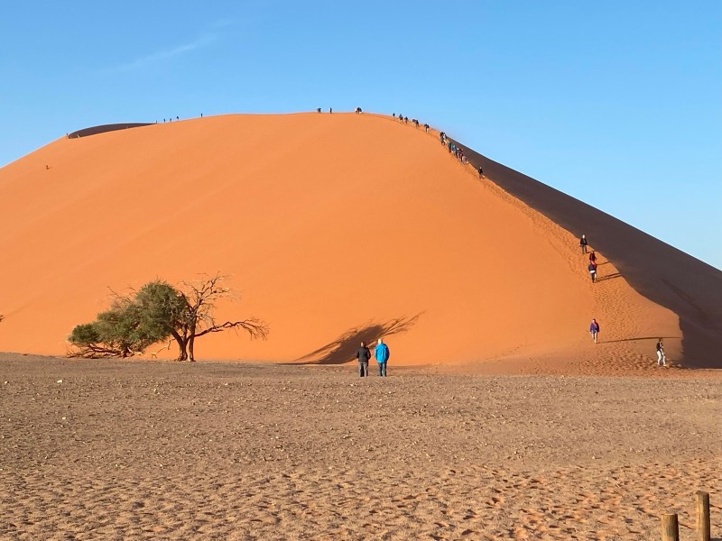 Außergewöhnliches Namibia im Mietwagen