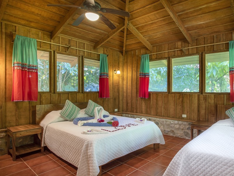 Esquinas Rainforest Lodge - Standard