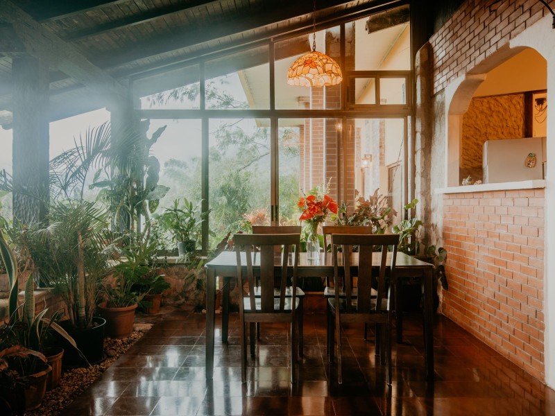 Golden Frog Inn - Restaurant