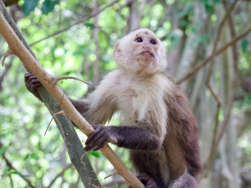 Tayrona Nationalpark