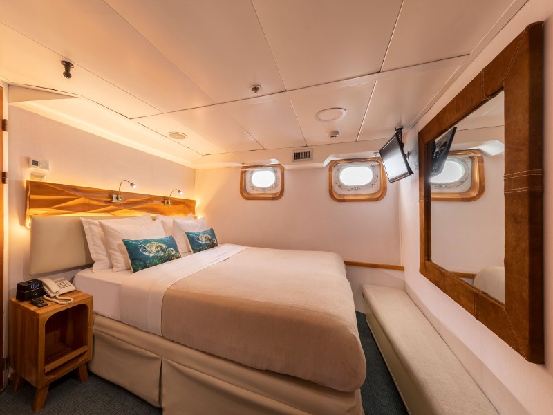 Coral Standard Suite
