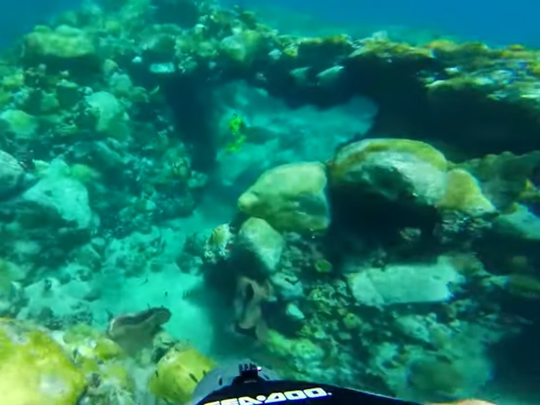 Snorkeling in St. Lucia