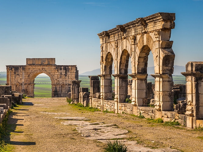 Volubilis 2