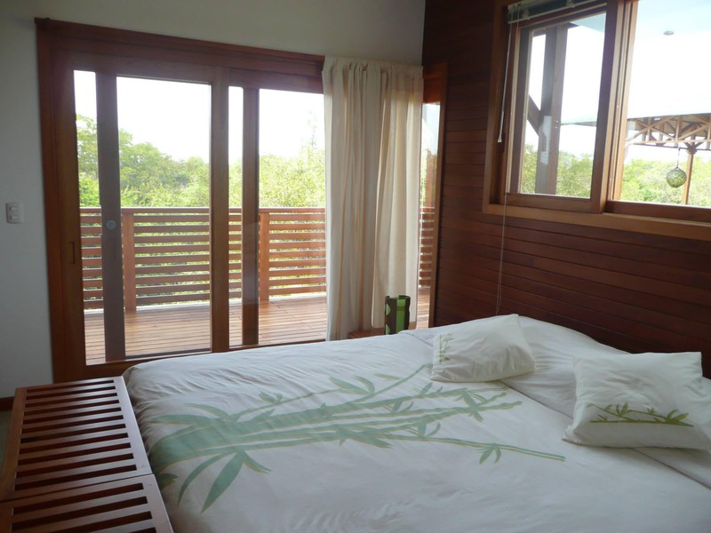 Große Fensterflächen