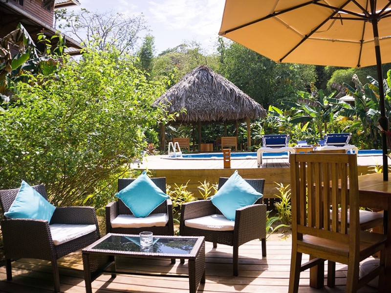 The Hummingbird - Restaurant