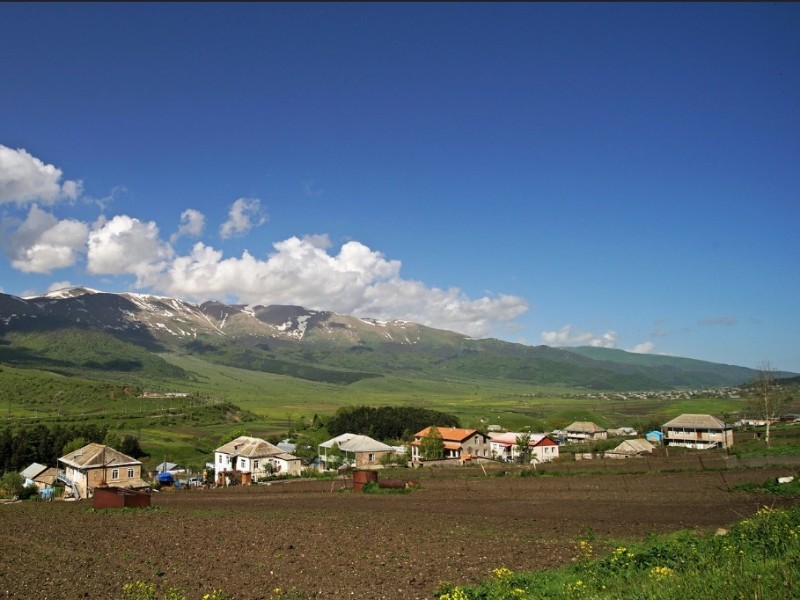 Fioletovo 