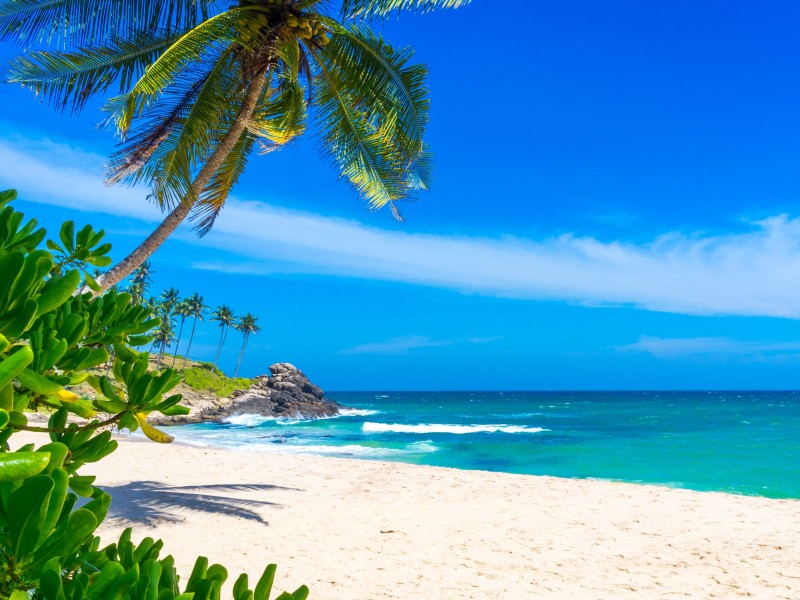 Tropischen Strand-Sri Lanka 