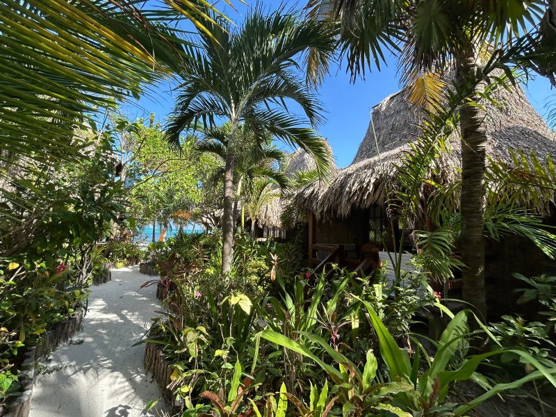 Ramons Village - Garten