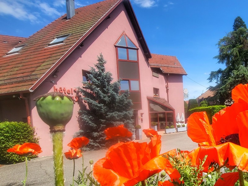 Hôtel aux Sapins, Thann