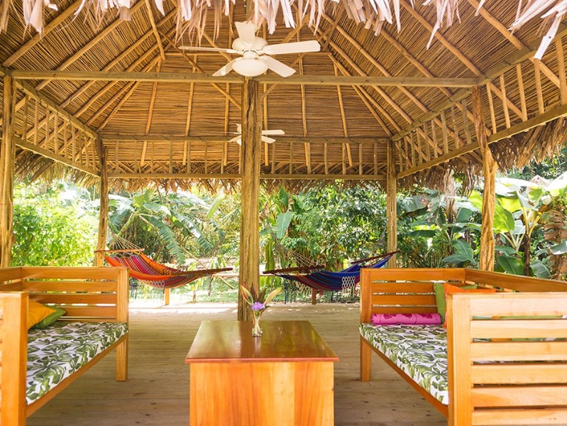 The Hummingbird - Lounge