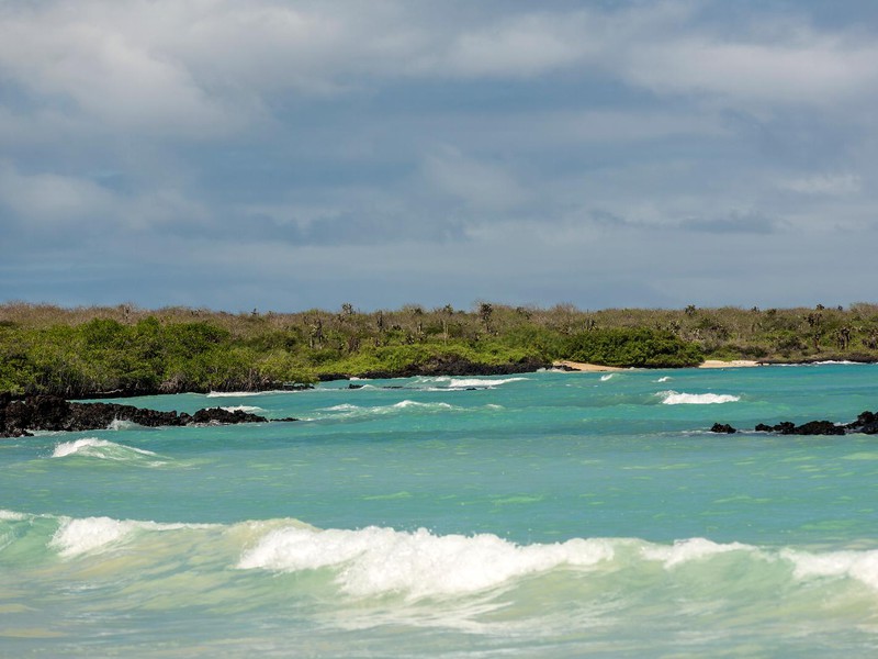 The beach Garrapatero