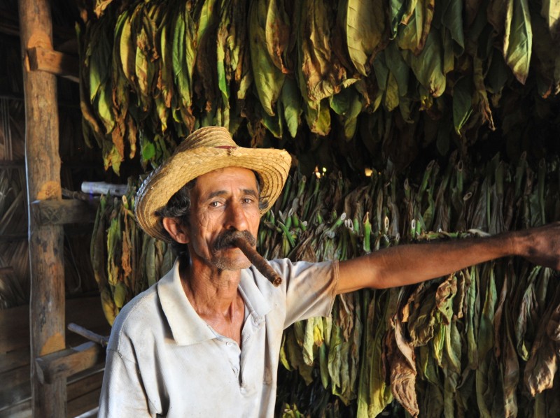 Pinar del Rio & Viñales