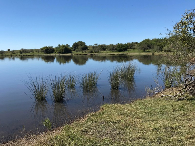 La Bendición Lodge - Rio Negro