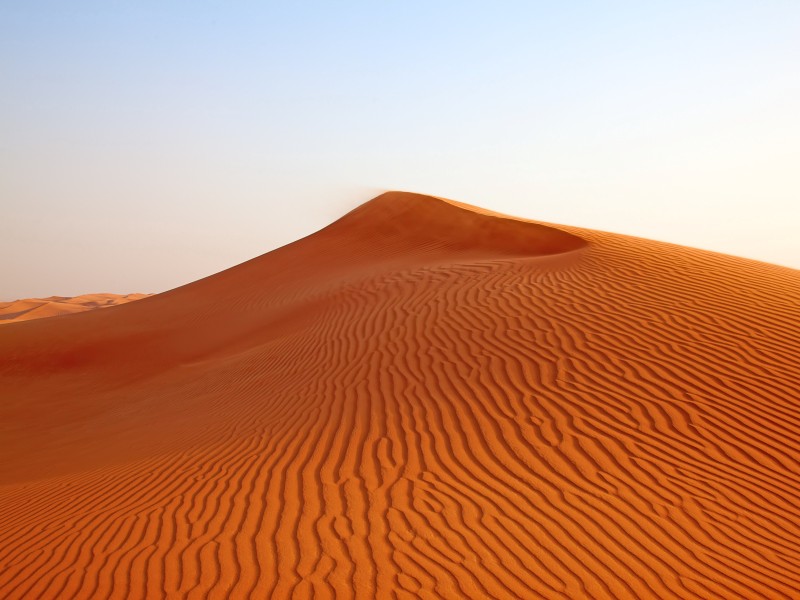 UAE - desert