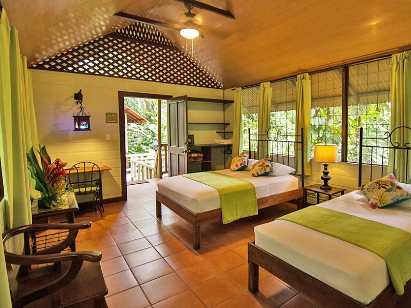 Tortuguero - Standard