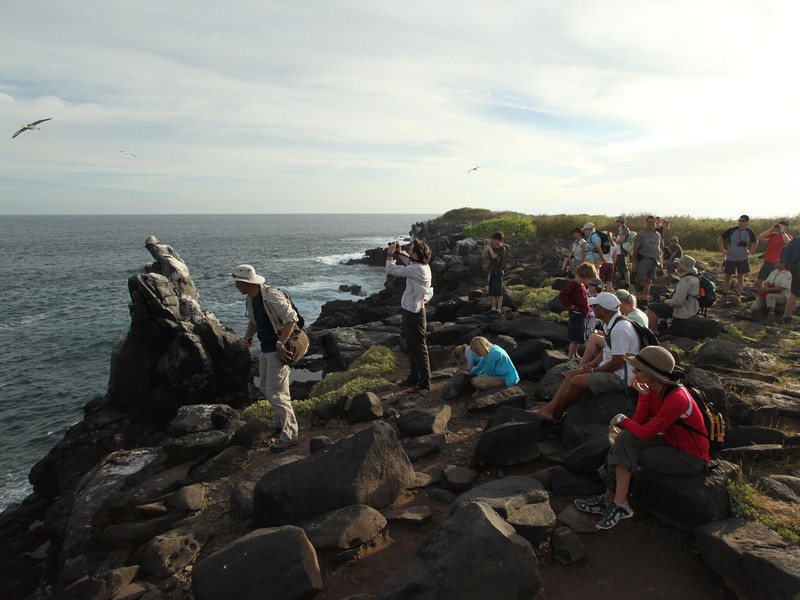 Reisegruppe bewundert die Auswahl