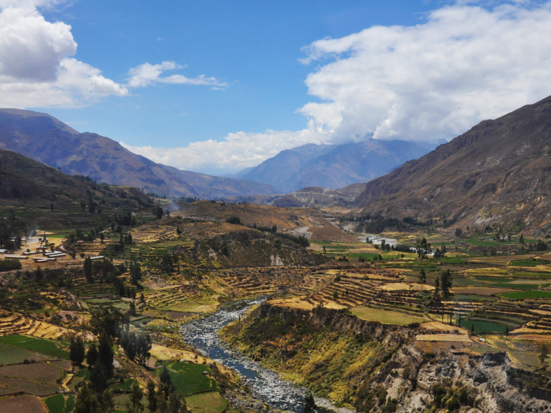 Peru - Colca Canyon 