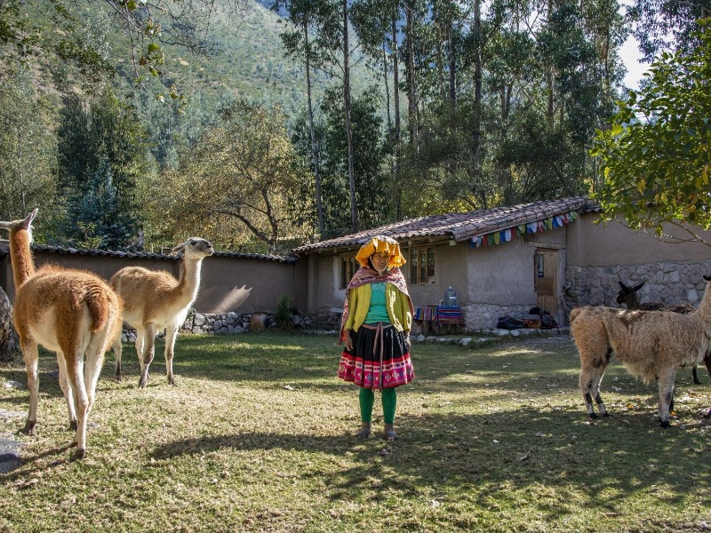 Llamapack_5