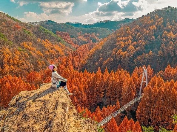 Jeonju Hanok Village and Jangtaesan Natu