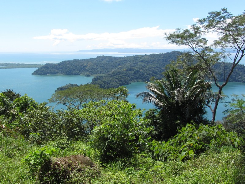 Star Clippers - Golfito 