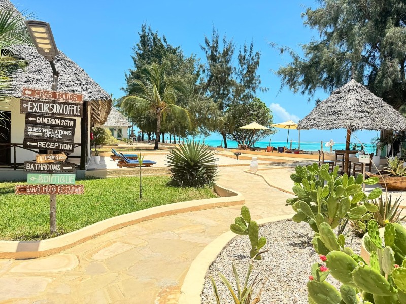 Reef and Beach Garden